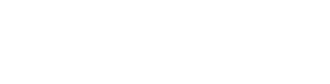 bizbot